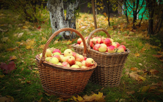 Baskets apples autumn folk art - fall vibrancy free wallpaper