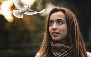 Woman bird scarf portrait dove - figuration libre free wallpaper