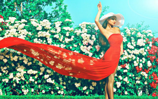 Red dress hat dancing bush - a bush free wallpaper