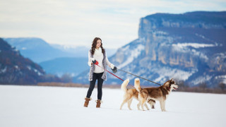 Woman dogs snow mountains outdoors - two dog free wallpaper