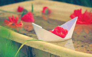 Paper boat pond flower red - a paper free wallpaper for desktop