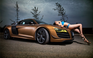 Woman bikini car leaning art - the hood free wallpaper