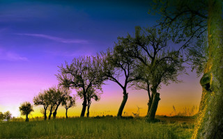 Purple sky autumn trees lake - a group of trees free wallpaper