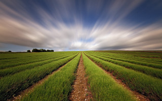Clouds grass dirt path landscape - cloud and grass free wallpaper