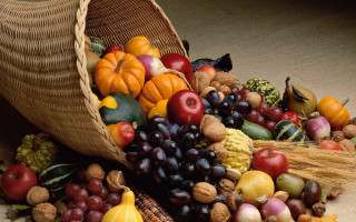 Harvest folk art fruit vegetables - fall vibrancy free wallpaper