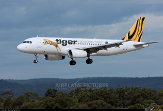 Tiger airplane flying low trees - low free wallpaper