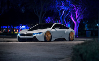 White car night forest road - the side of a road free wallpaper