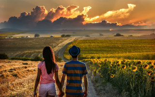 Couple walking sunflower field cloudy - sunflower free wallpaper