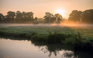 Foggy river forest sunset landscape - misty free wallpaper