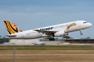 Tiger airplane takeoff airport tilt - an airport runway free wallpaper