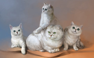 Three cats stacked tabletop calico - official free wallpaper