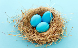 Blue egg nest straw sky - vivid free wallpaper