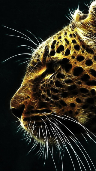 Cheetah close up black background - a blurry effect free wallpaper