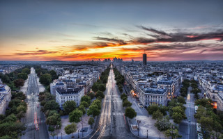 Paris sunset cityscape street trees - tree and buildings free wallpaper
