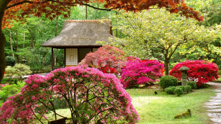 Garden gazebo flowers trees path - a gazebo free wallpaper