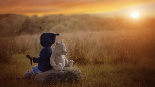 Little girl rock teddy bear - the sun setting free wallpaper