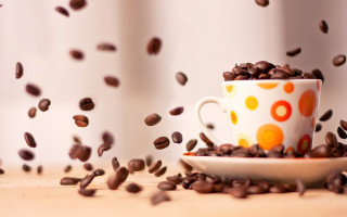 Coffee cup coffee beans conceptual - scattered free wallpaper