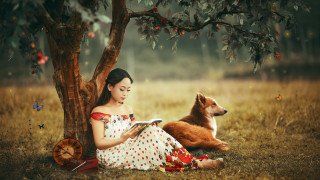 Woman reading under tree dog - free dogs wallpaper