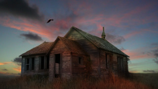 House field bird sunset pink - eric taylor free wallpaper