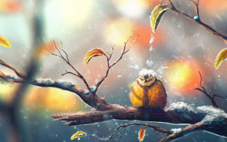 Bird rainy branch leaves autumn - branch and a blurry background free wallpaper for desktop