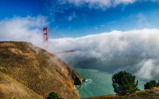 Foggy golden gate view matte - foggy free wallpaper
