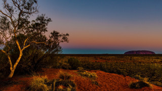 Desert tree pink sky sunset - albert namatjira free wallpaper