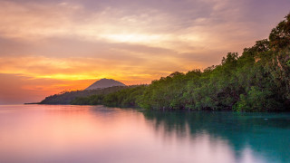 Lake mountain trees sunset pink - a mountain in the background and trees free wallpaper