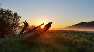 Wooden log sunset fog trees - the sun setting behind free wallpaper