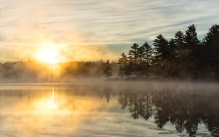 Foggy lake sunset trees horizon - hudson river school free wallpaper