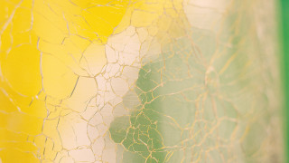 Yellow green cracks abstract texture - a white line free wallpaper