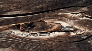 Peeling wood decay abstract beach - objective abstraction free wallpaper
