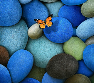 Butterfly rock blue green pebbles 8 - a still life free wallpaper for tablet