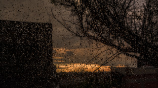 Rainy window building tree stormy - a matte painting free wallpaper