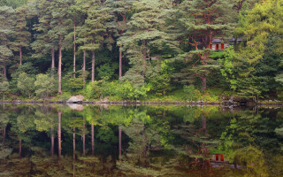 Cabin lake forest ecological impressionist - a cabin free wallpaper