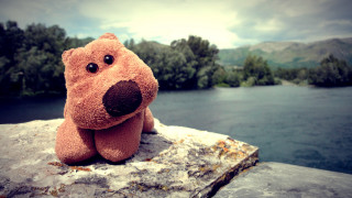 Stuffed animal rock river trees - stuffed free wallpaper for desktop