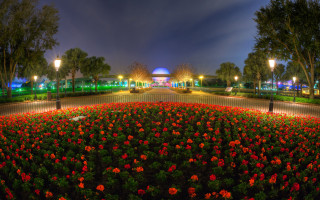 Flower garden night lights building - cloisonnism free wallpaper