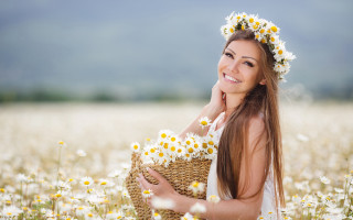 Woman daisy field basket smile - her hand and a smile free wallpaper