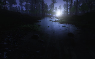 Dark forest stream night foggy - a dark forest free wallpaper