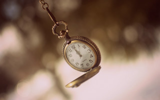 Pocketwatch chain tree bokeh shallowdepth - a pocket watch free wallpaper