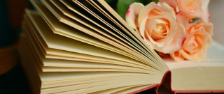 Book roses background table storybook - a page free wallpaper