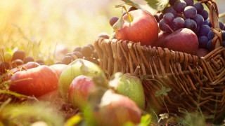 Basket apples grapes grass sunlight - fall vibrancy free wallpaper