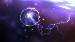 Jellyfish bubbles purple background bioluminescence - head and neck free wallpaper