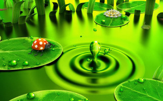 Green pond ladybug lily pads - environmental art free wallpaper