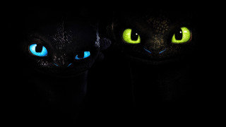 Glowing blue eyes black cat - dragon! free wallpaper for desktop