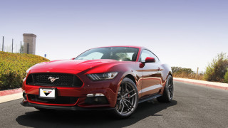 Red mustang parked road hedge - a red mustang mustang free wallpaper