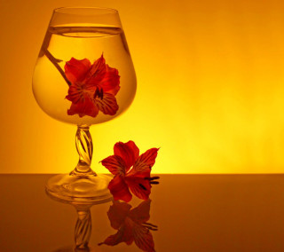 Glass water flower table yellow - a still life free wallpaper for tablet
