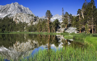 Mountain lake trees grass sky - tall grass and trees free wallpaper for desktop