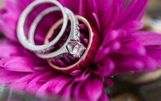 Wedding rings flower diamond macro - ring free wallpaper