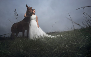 Woman wedding dress horse field - a horse in a field free wallpaper