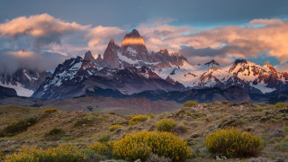Mountain range clouds flowers bushes - a few bush free wallpaper